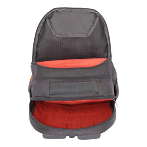 American Tourister Dazz 33 Ltrs Grey Casual Backpack (FU5 (0) 08 002)