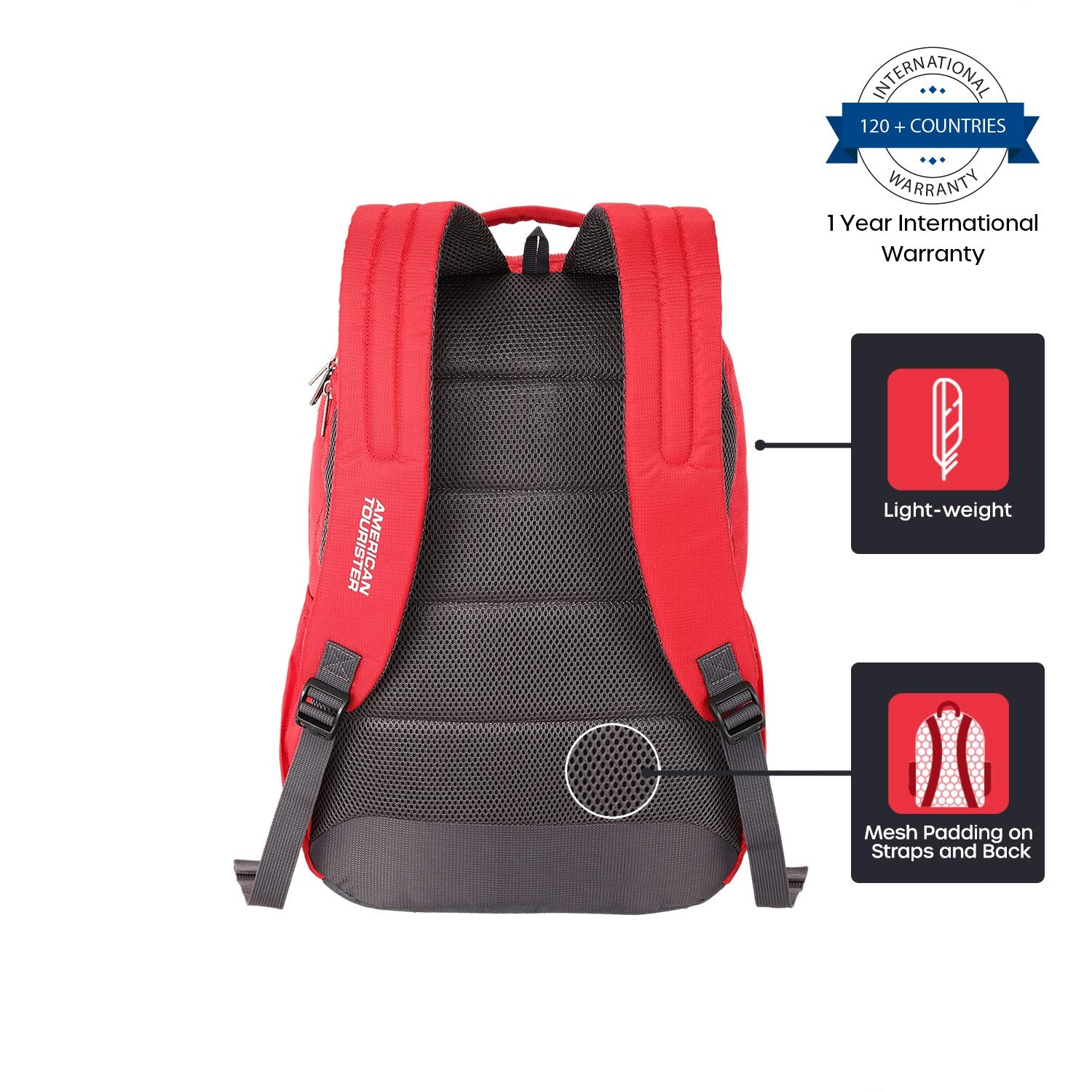 Buy AMERICAN TOURISTER Red and Blue Backpack at Amazonin