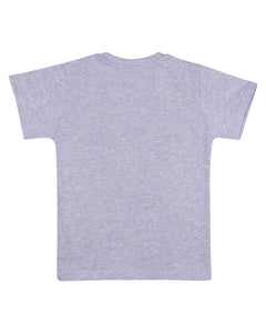 Boys Casual Printed Light Grey Round Neck T Shirt