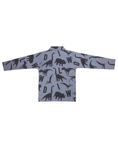 Boys Dinosaur Printed Grey Night Suit