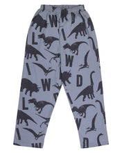 Load image into Gallery viewer, Boys Dinosaur Printed Grey Night Suit

