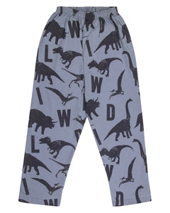 Boys Dinosaur Printed Grey Night Suit
